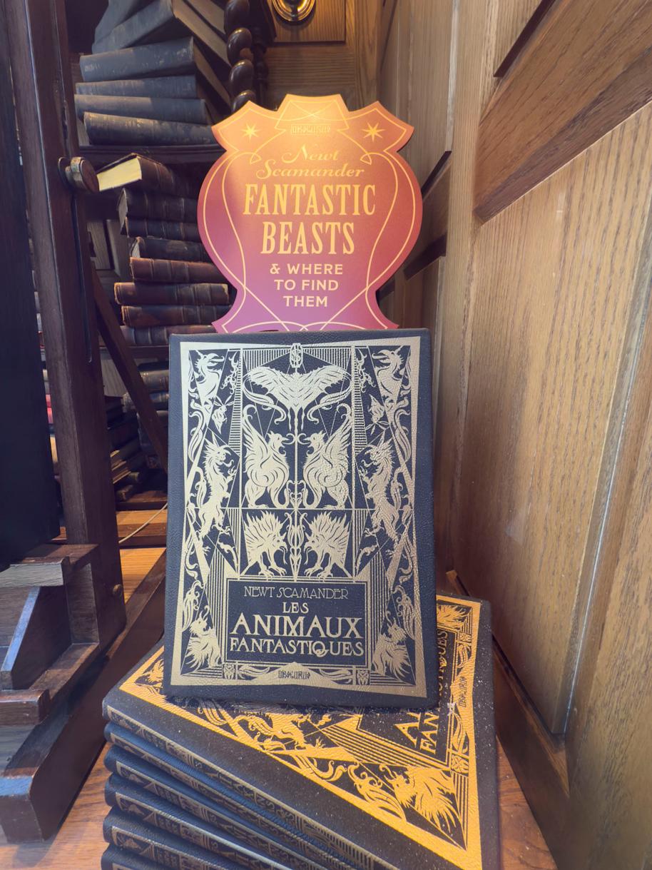 Epic-Universe-Easter-Egg-Newt-Scamanders-Book